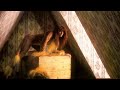 Kate Bush - In Search of Peter Pan (HQ Remastered Audio)