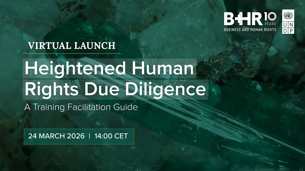 Heightened Human Rights Due Diligence: Launch of UNDP's new training facilitation guide
