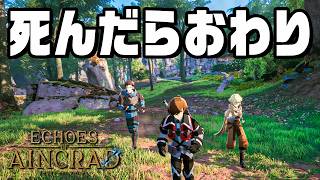 【SAO最新作】デスゲームの世界で冒険する『 Echoes of Aincrad 』リベンジ
