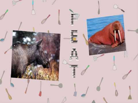 Elch ft. Walross - BIATCH