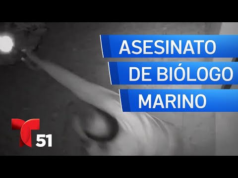 Presentan video del momento en que enfermero le dispara a biólogo marino en Puerto Rico
