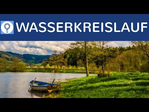 Wasserkreislauf einfach erklärt - Phasen & Prozess des Kreislaufs des Wassers & Definition