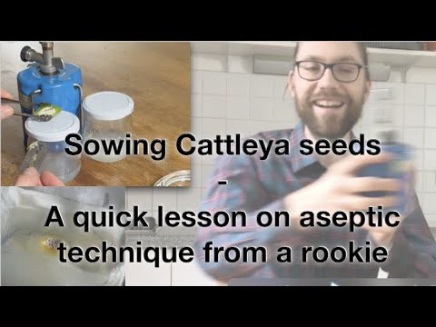 Getting pseudo-science-y part 2 | SOWING ORCHID SEEDS | first time flasking | sterile technique 101
