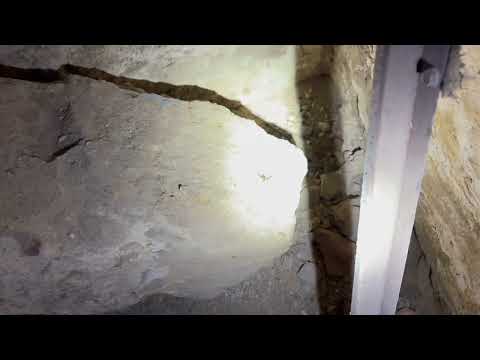 Basement Infested with Cave Crickets in Shrewsbury, NJ