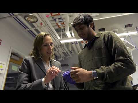 A frame from the embedded video, with a play button over the image.