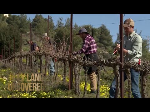 Non-Profit 'Hayovel' Brings Christians to Farm Land of Israel