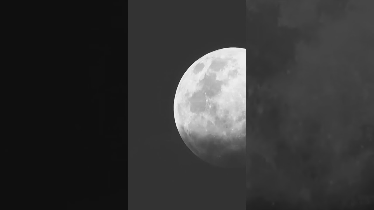 CONTOH TEKS DEBAT TENTANG UJIAN NASIONAL