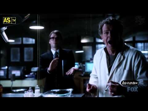 Dave Grohl - Wheels (Acoustic) [Music Video] with Fringe