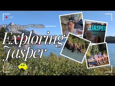 Thumbnail for Jasper National Park: Waterfalls & Wildlife | Disney Cruise Alaska & Canadian Rockies (Part 4)