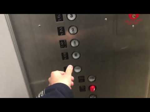 OTIS Elevator at Macy's Roosevelt Field Mall Garden City, NY
