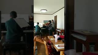 Download lagu Canon/violin.flute. piano/パッヘルベルのカノンを練習してみた♪shorts mp3