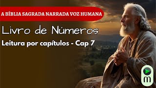 NÚMEROS 7 | Cada Oferta Importa  | Bíblia Narrada com Reflexão e Oração Final