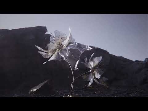 Premiere: Baime - With Me [Blindfold Recordings]