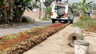 Tobacco farming कैसे होती हैं।| तम्बाकू की खेती कैसे होती हैं।| how to farming tobacco| rohit's vlog
