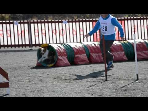 Rukan Roihurallit 2016 (6)