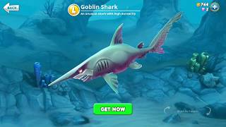 hungry shark world, goblin shark (3D Motion)
