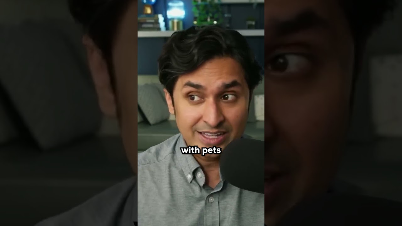 How Having A Pet Affects You