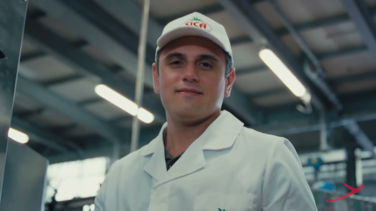 Opportunity: the AI optical sorter. The installation at @sicas.r.l.3595 | RAYTEC VISION SpA