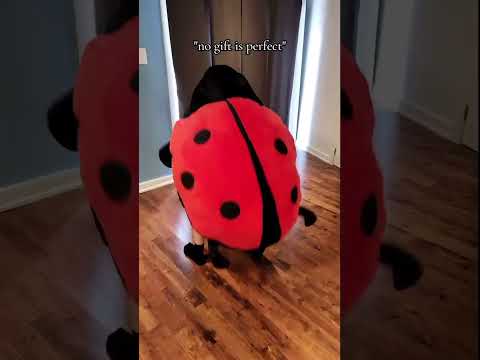 best gift ever #wearablepillow #giftforher