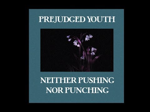 Graustufe West (Ex-Prejudged Youth) - Neither Pushing Nor Punching (Official Lyric Video)