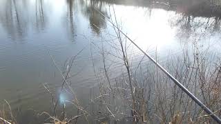 Удочка доюй jintai телескопическая 760 mini trout