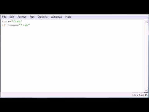 Python Programming Tutorial 20 If Statement