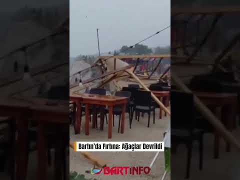 Bartın’da Fırtına: Ağaçlar Devrildi 🌪️🌳