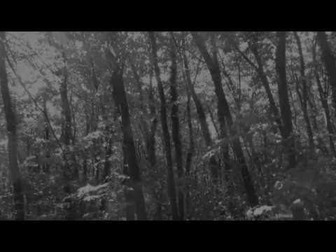 Eugen Iustin&Melomars-Alunecand in jocuri