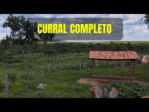 Fazenda Formada no Tocantins | 12 Pastos, Curral Completo e Energia Solar