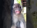 Fun With Amit Chauhan 31511 Funnyvideo Viralshortvideo