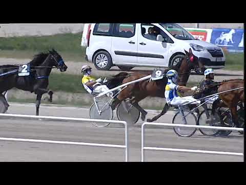 Napoli Trotto 05/09/2023 - 1ª corsa