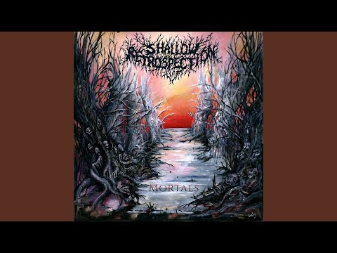 Towards Eternity (feat. Iga Dajworska)