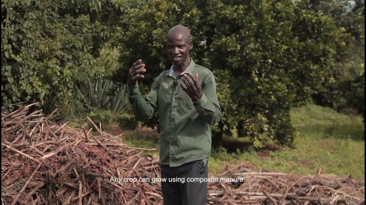 Composting as an affordable alternative Nature-based Solution for improved soil fertility  Zambia