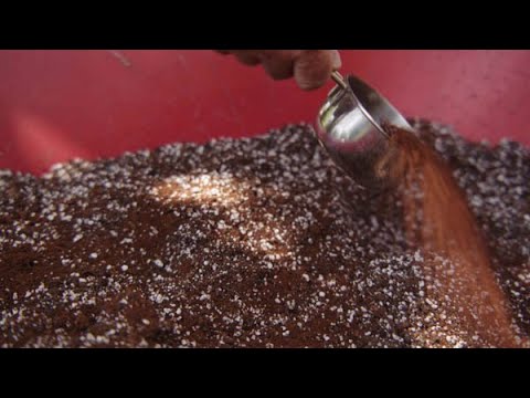 Neem Cake | Organic Garden Pest Control | Revival Gardening