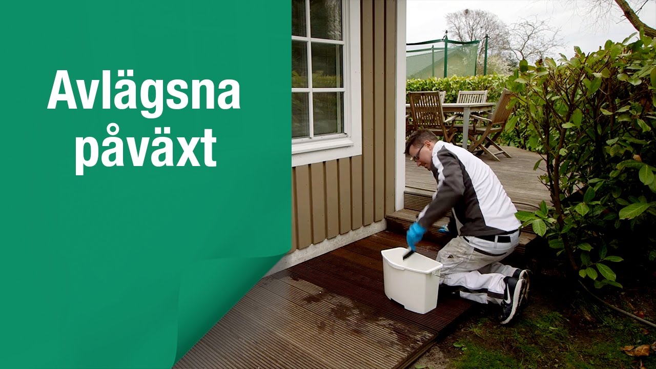 Så här avlägsnar du beväxning från träytor utomhus Så här avlägsnar du beväxning från träytor utomhus