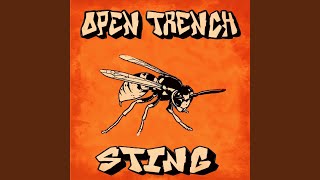 Cover art for Sting