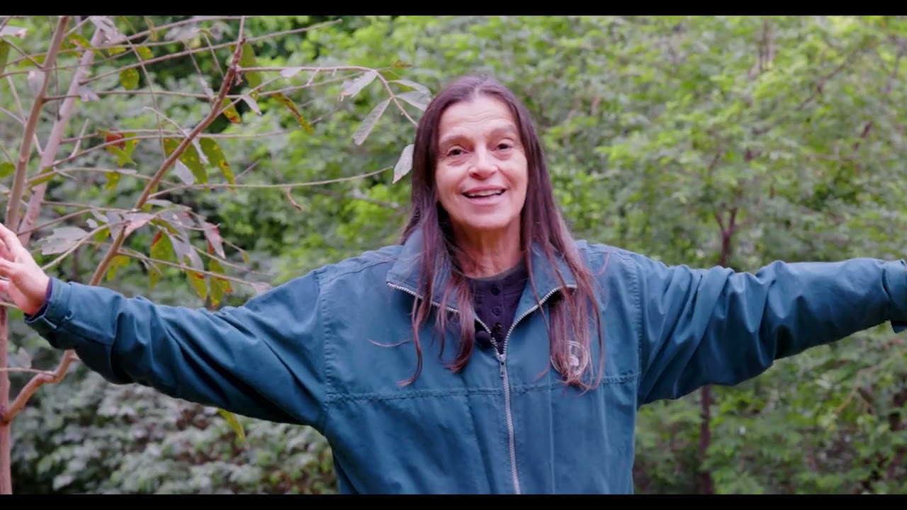 Projeto Harpia & Primatas do Urucum