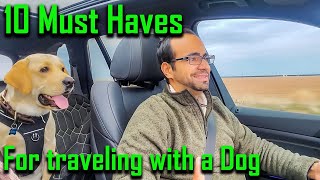 How To Go On a Long Drive With Your Dog | How To Travel With Your Dog in a Car