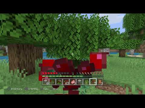 Vither Realms #1(Minecraft survival)