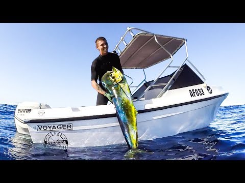 YBS Lifestyle Ep 24 - SPEARFISHING MONSTER MAHI MAHI | Shark Frenzy | Marlin Free Swim