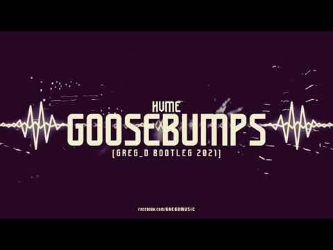 HVME - GOOSEBUMPS ( Greg_D Bootleg )