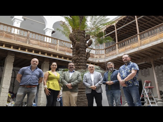 Raíz, memoria y futuro: los mayores especialistas en cycas datan el ejemplar del MUBEA en dos siglos