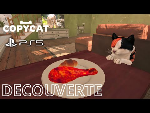Vidéo Copycat