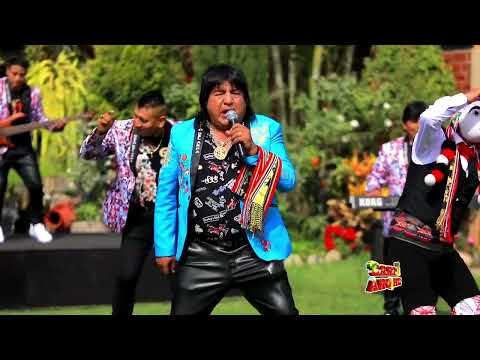 ♫ Vacalola - Gato Del Arpa 🐄 Huayno Perú 2025