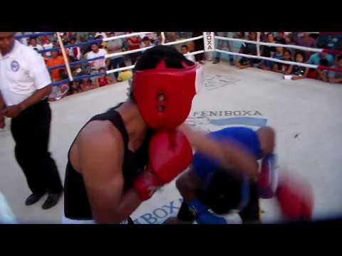 Wiston Guerrero vs Michael Hernandez