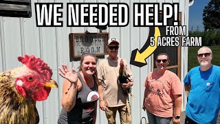 5 Acre Farm to the Rescue!! Chicken Farming Ain't Easy!