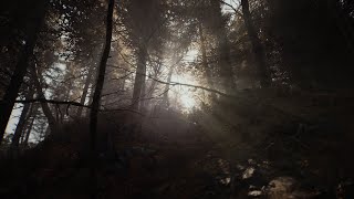 Blair Witch 4K Unreal Engine Photogrammetry Textures