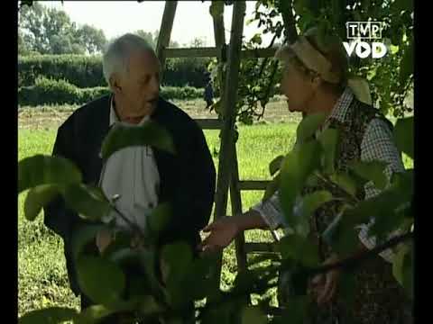 „M jak miłość" – pierwsza scena z pierwszego odcinka