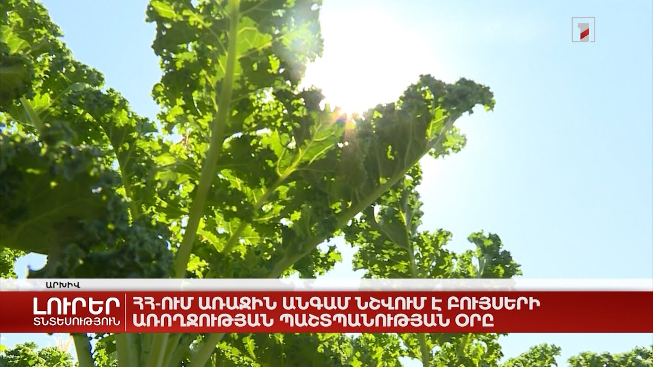 Հայաստանում առաջին անգամ նշվում է բույսերի առողջության օրը