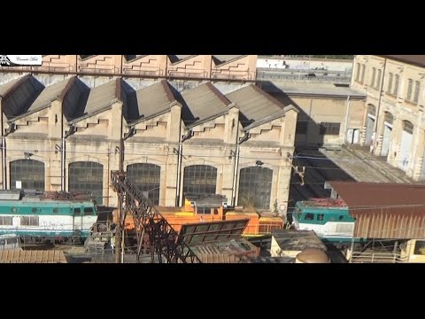 Manovra al DL di Rivarolo due Caimani e una Aragosta